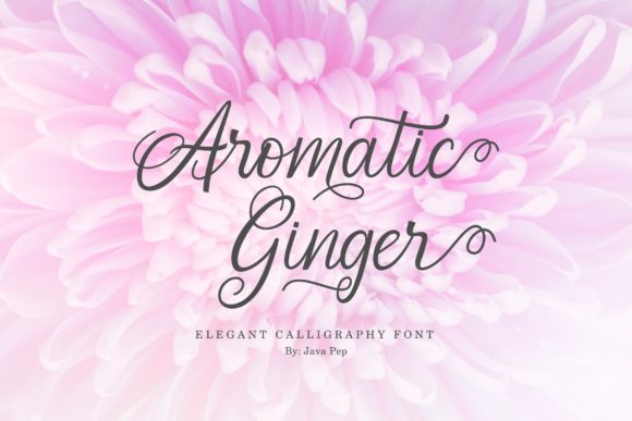 Aromatic Ginger: Elevate Your Brand With Elegant Script Typography