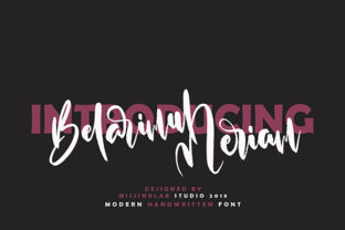 Belarimul Meriam Review: A Designer’s Take on This Script Amp