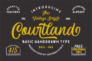 Courtland Typeface: Elevate Your Brand’s Visual Storytelling