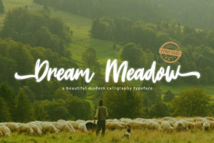 Dream Meadow: The Creative Font Duo for Polished Brand Identity