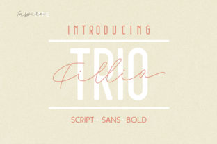 Filia: A Retro Display Typeface for Polished Brand Identity