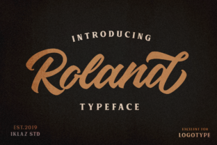 Roland: The Vintage Script Amp That Elevates Campaign Visuals